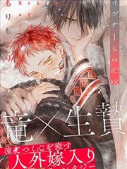 红衣同伴：零之使魔漫画角色图鉴卡片